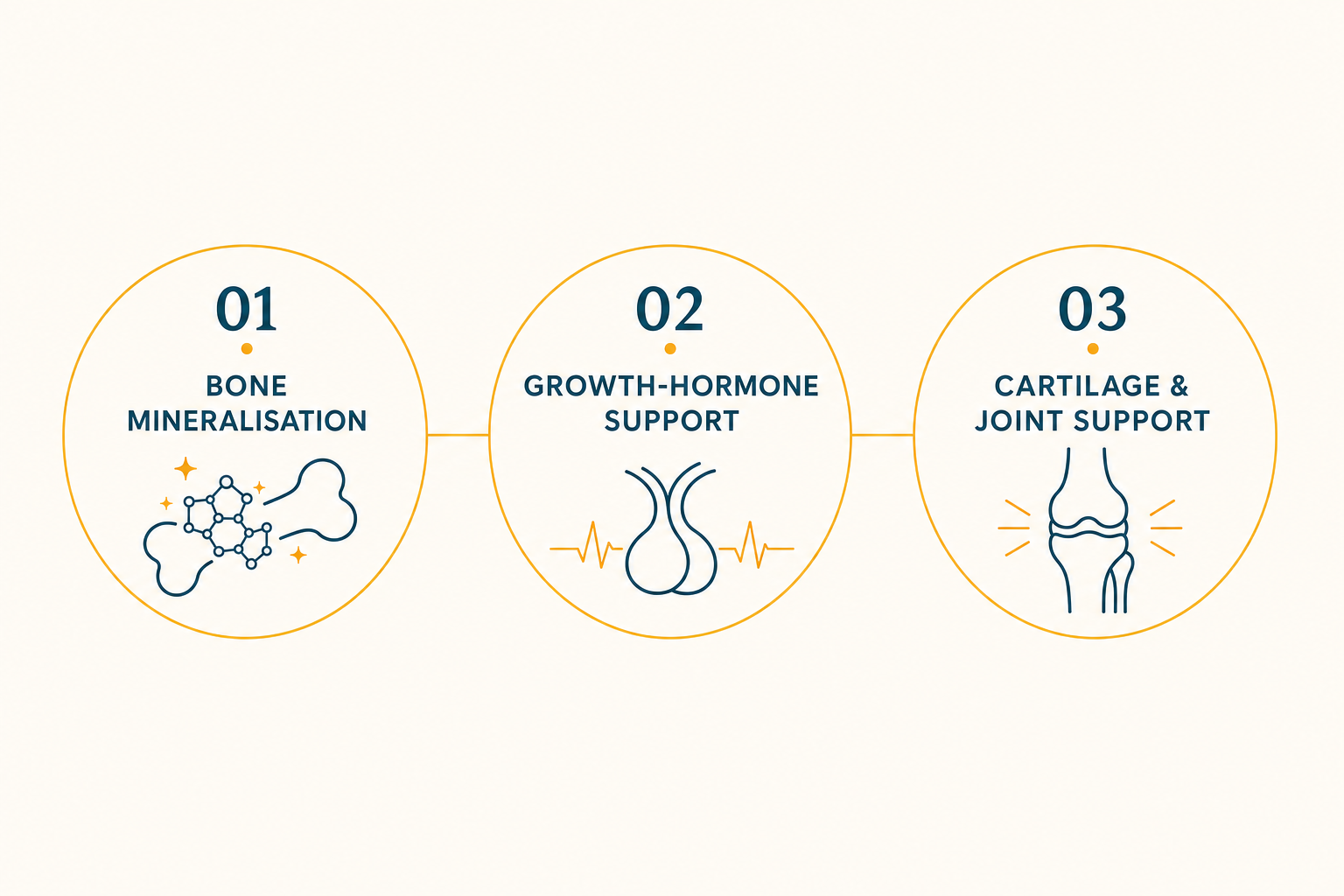 The three bone nutrients and how they work together